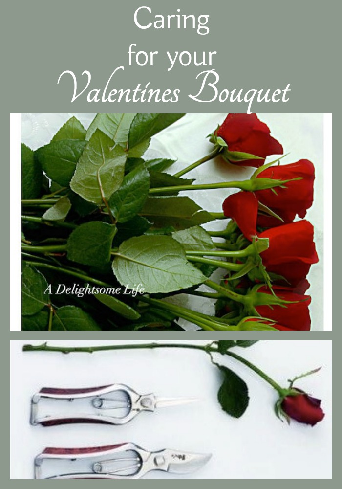 Caring for your Valentines Bouquet