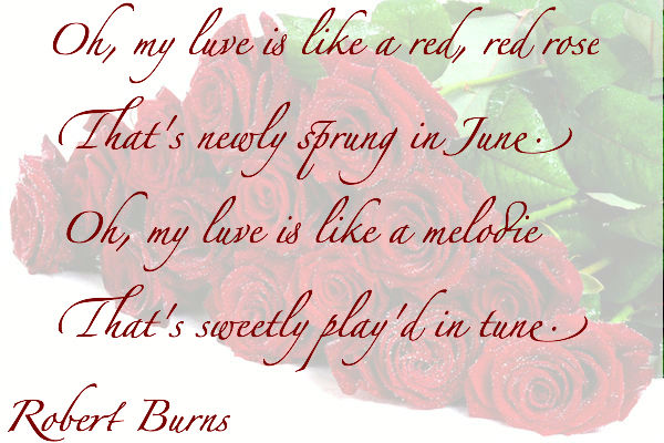 Red Red Rose - Burns