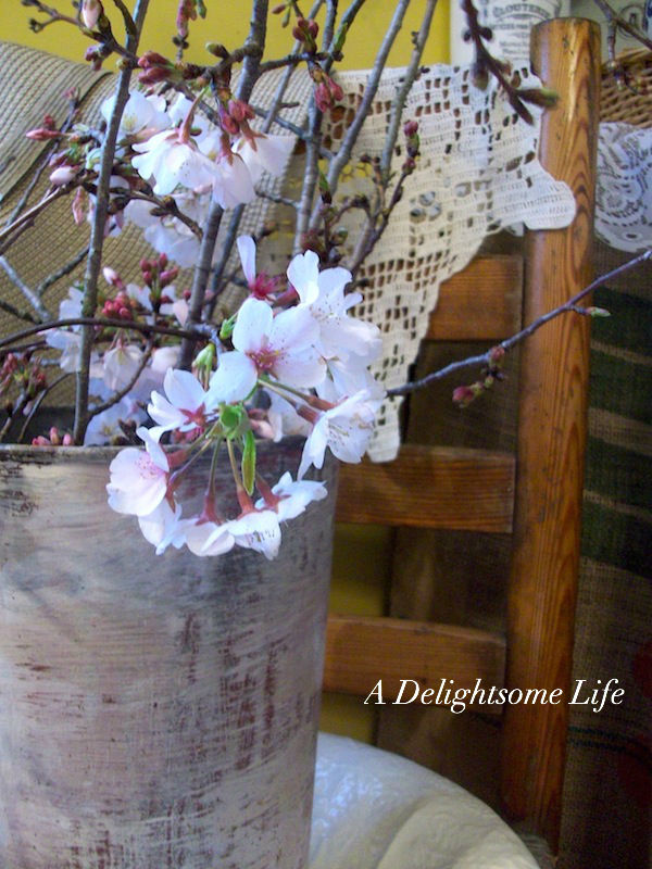 Cheery Cherry Blossoms 10