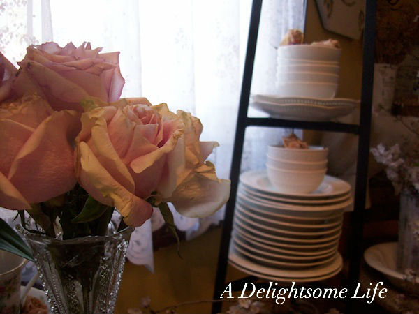 Harmonious Morning pink roses