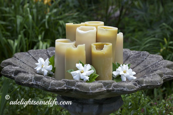 Beeswax Candles in Birdbath with Gardenias