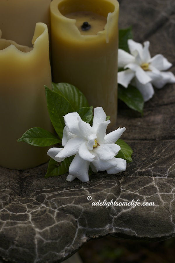Romantic Gardenia and Beeswax Candles