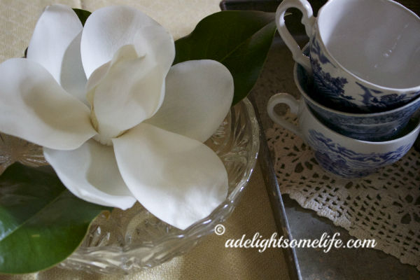 Magnolia on dining table