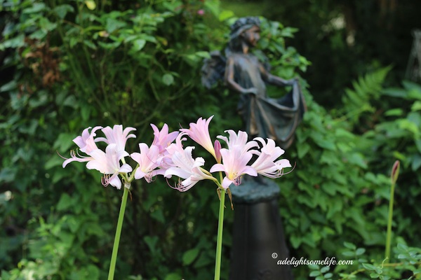 Surprise Lily by Girl Statue copy