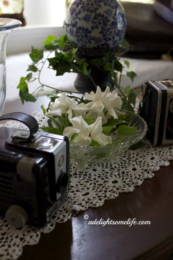 gardenias on table in dining room