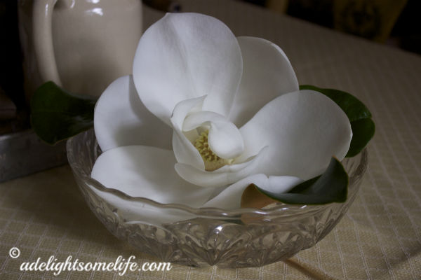 magnolia on dining table 2