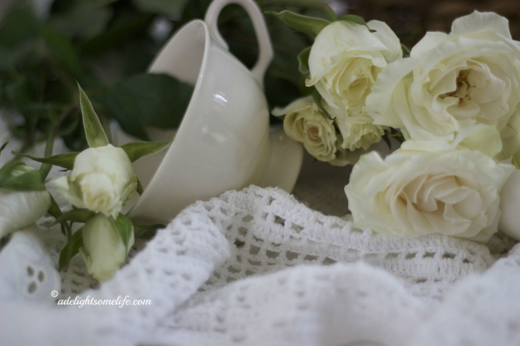 picture of white roses with footed teacup