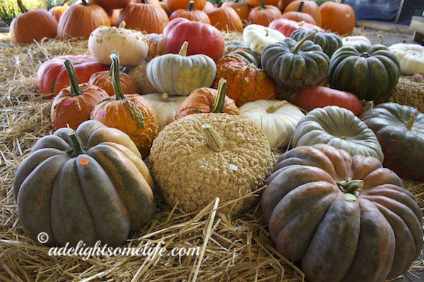 peanut shell pumpkin adelightsomelife.com