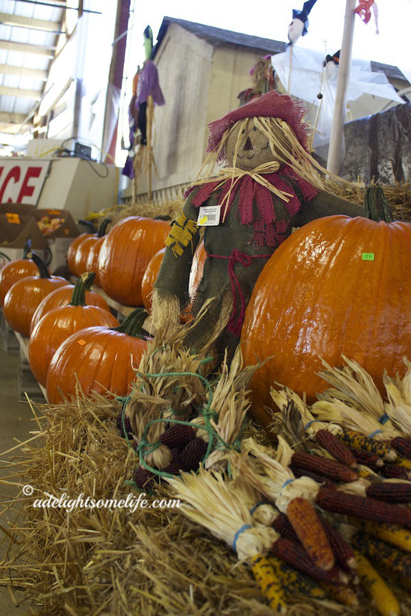 pumpkin and scarecrow adelightsomelife.com