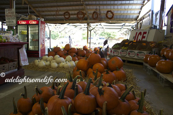 pumpkins in market adelightsomelife.com