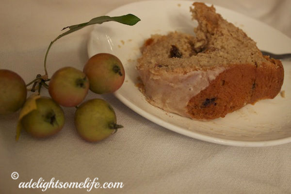 slice of Autumn cake with Crabapples