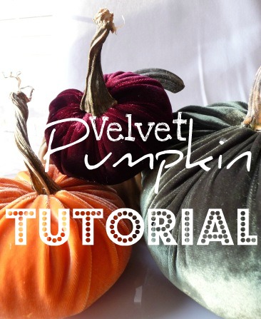 velvet pumpkin tutorial