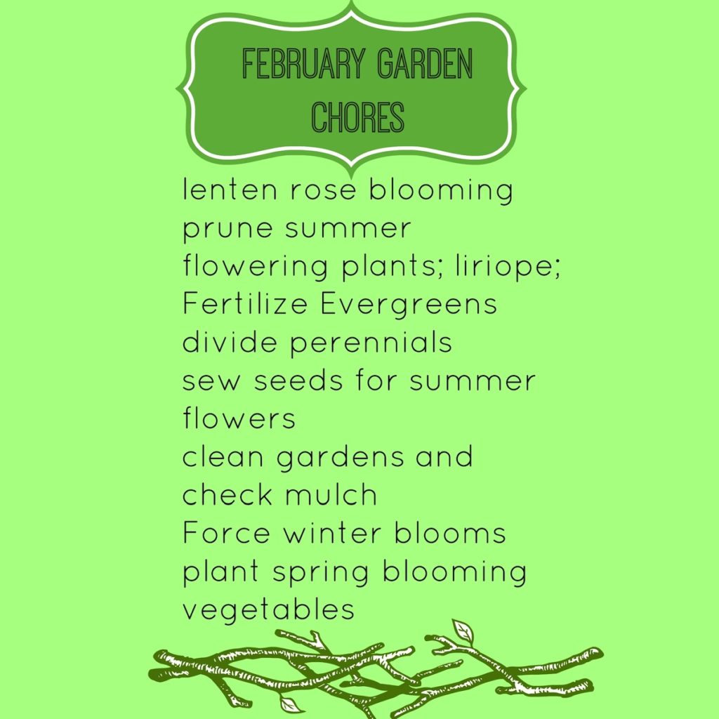 February Garden Chores in the south