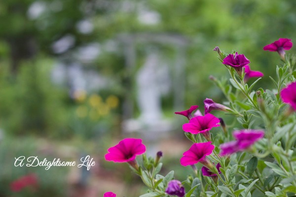 A Delightsome Life spring garden 15