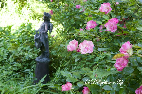 A DELIGHTSOME LIFE LA MARNE ROSE BY DANCING GIRL STATUE
