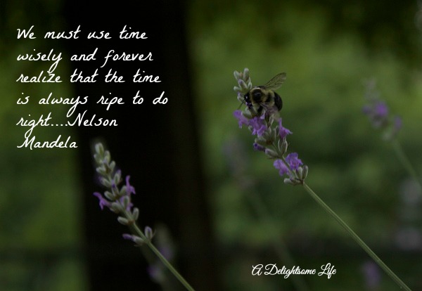 A-DELIGHTSOME-LIFE-WHEN-BEE-LAVENDER