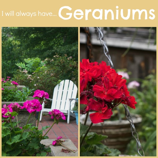 geranium collage