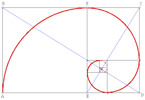 golden ratio spiral