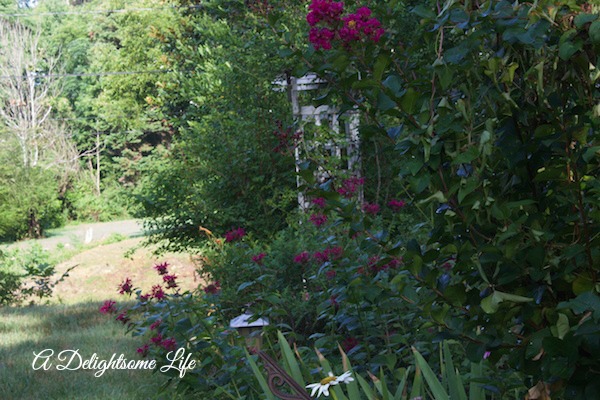 A-DELIGHTSOME-LIFE-FRONT-BED-CRAPE-MYRTLE-MONARDA