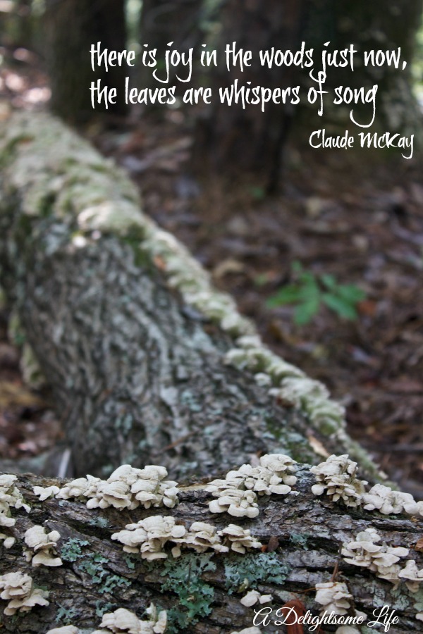 A-DELIGHTSOME-LIFE-JOY-IN-THE-WOODS-QUOTE