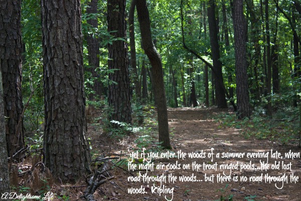 A-DELIGHTSOME-LIFE-WALK-THROUGH-WOODS-KIPLING-QUOTE