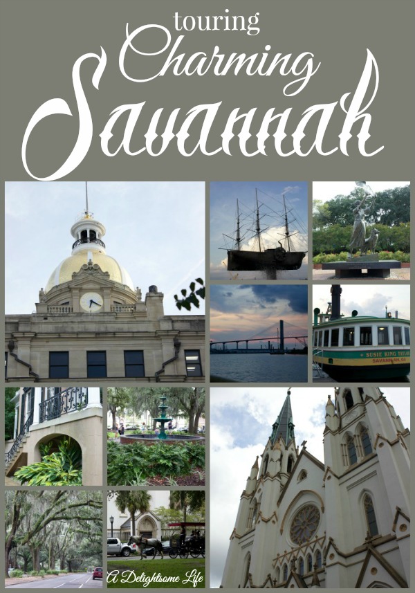 Savannah collage