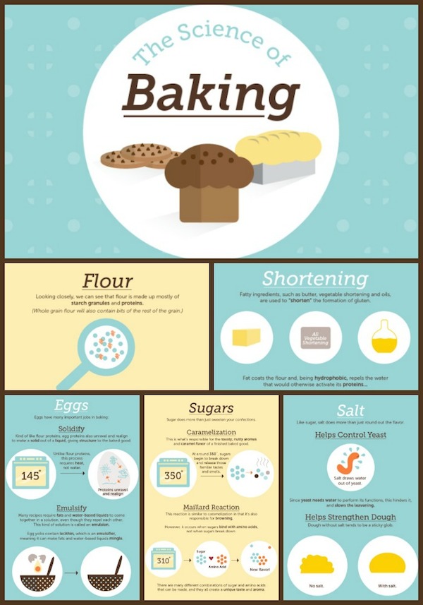 The Science of Baking by Shari's Berries Collage