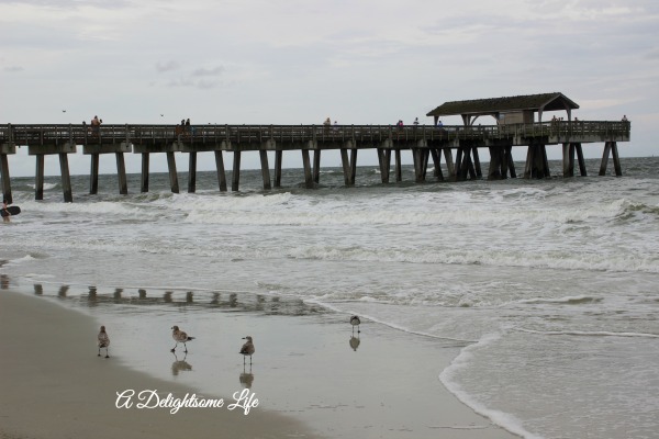 Tybee Island Pier A Delightsome Life