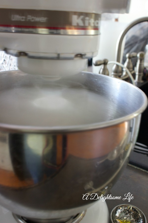 knead dough in mixer
