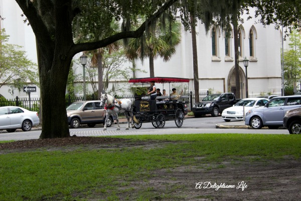 tours in Savannah A Delightsome Life
