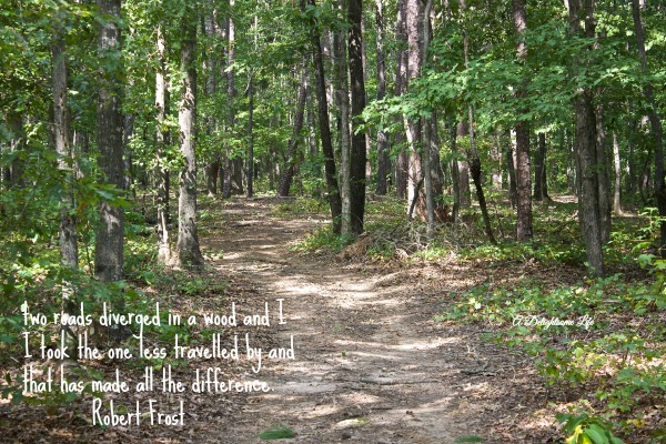 walk-in-the-woods-frost-quote-two-roads