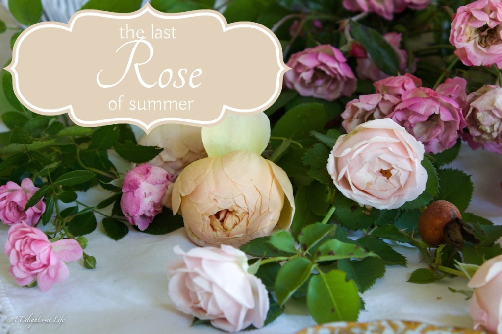 Summer's Last Roses-2 copy