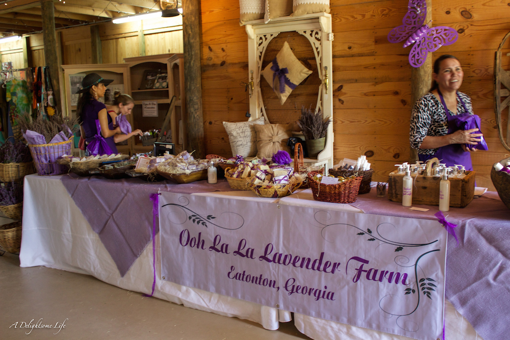 Lavender Farm-11