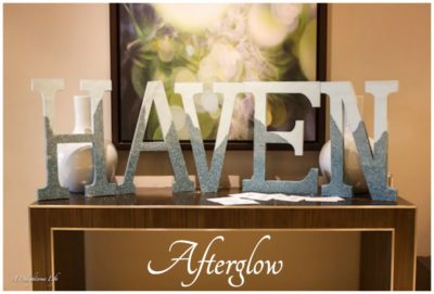 Haven Conference Afterglow