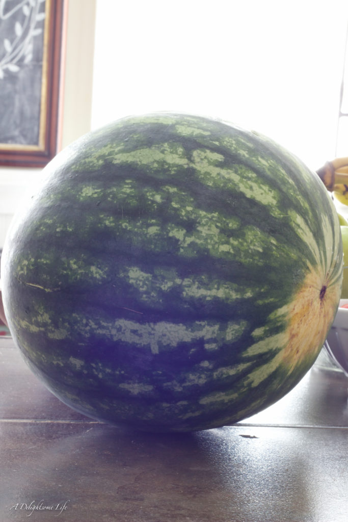 How can you tell when a watermelon is ripe?