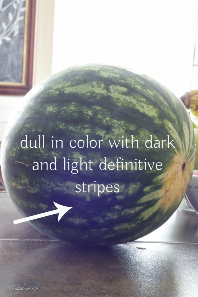How to pick a good watermelon at the supermarket?