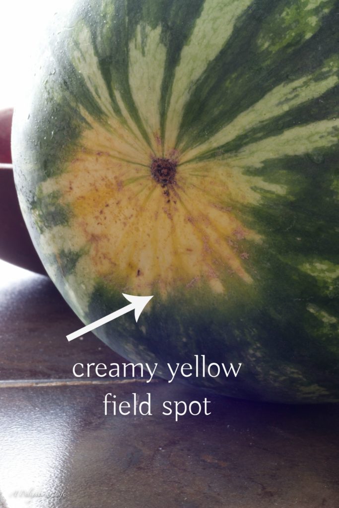 How to Pick a Good Watermelon look for creamy yellow field spot