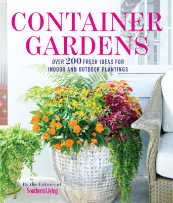 Container Gardens-Yes, You Can Do This Too!