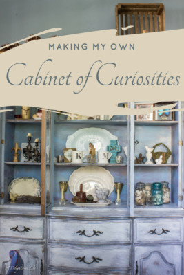 A cabinet of curiosities is a collection of items, usually natural...but in my case memories
