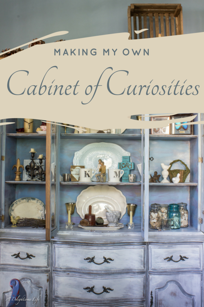 I wanted to know the truth about these fascinating collections. A Curiosity Cabinets are a collection of items, usually natural...but in my case memories