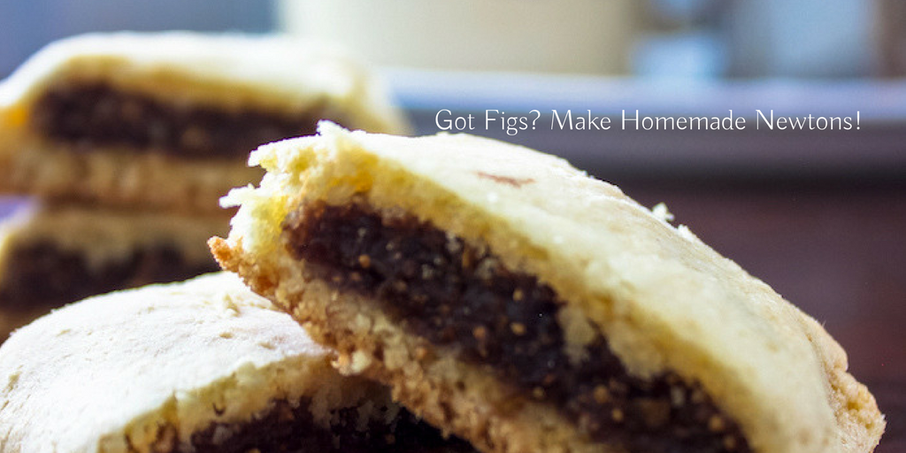 how to make fig newton cookies