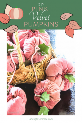 DIY Pink Velvet Pumpkins at A Delightsome Life