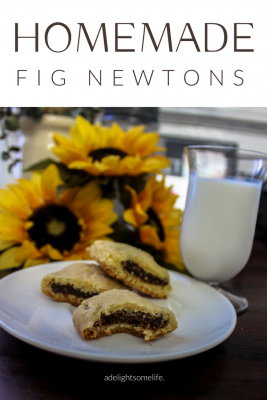 Fig Newtons are so Easy and Delicious to Make!