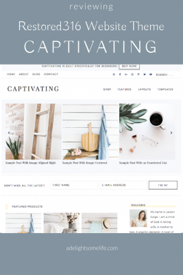 A New Pretty Theme Created Especially for Bloggers!