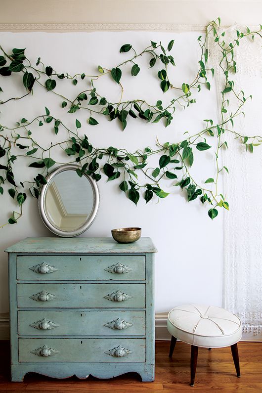 Beautiful trailing Pothos becomes artwork in room decor source Rooted in Design
