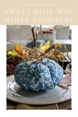 The Sweetest Budget-Friendly Pumpkins for Fall Decor