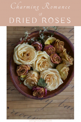 The Charming Romance Dried Roses Add to Your Decor