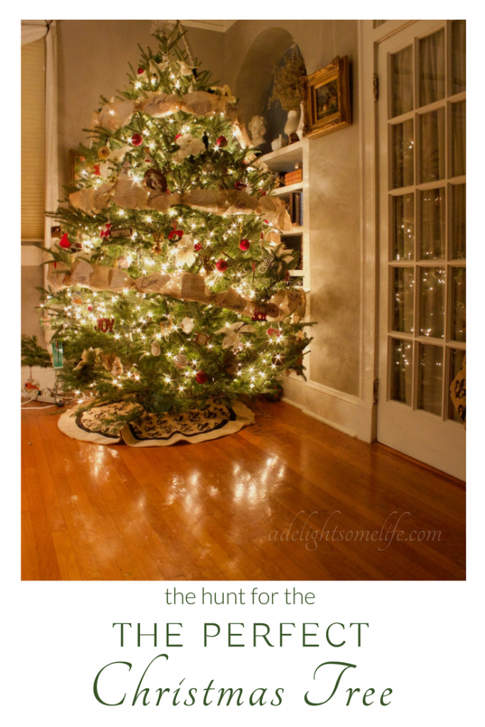 Finding the Perfect Christmas Tree on A Delightsome Life
