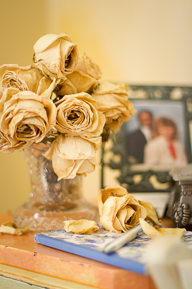 dried roses in vase on dresser