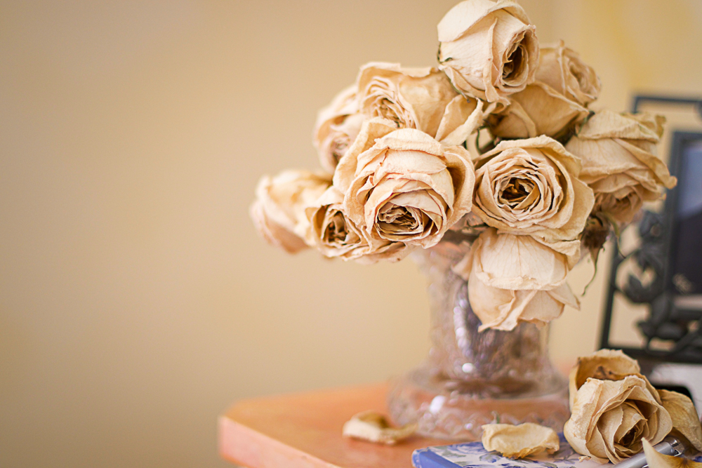 dried roses in vase on dresser